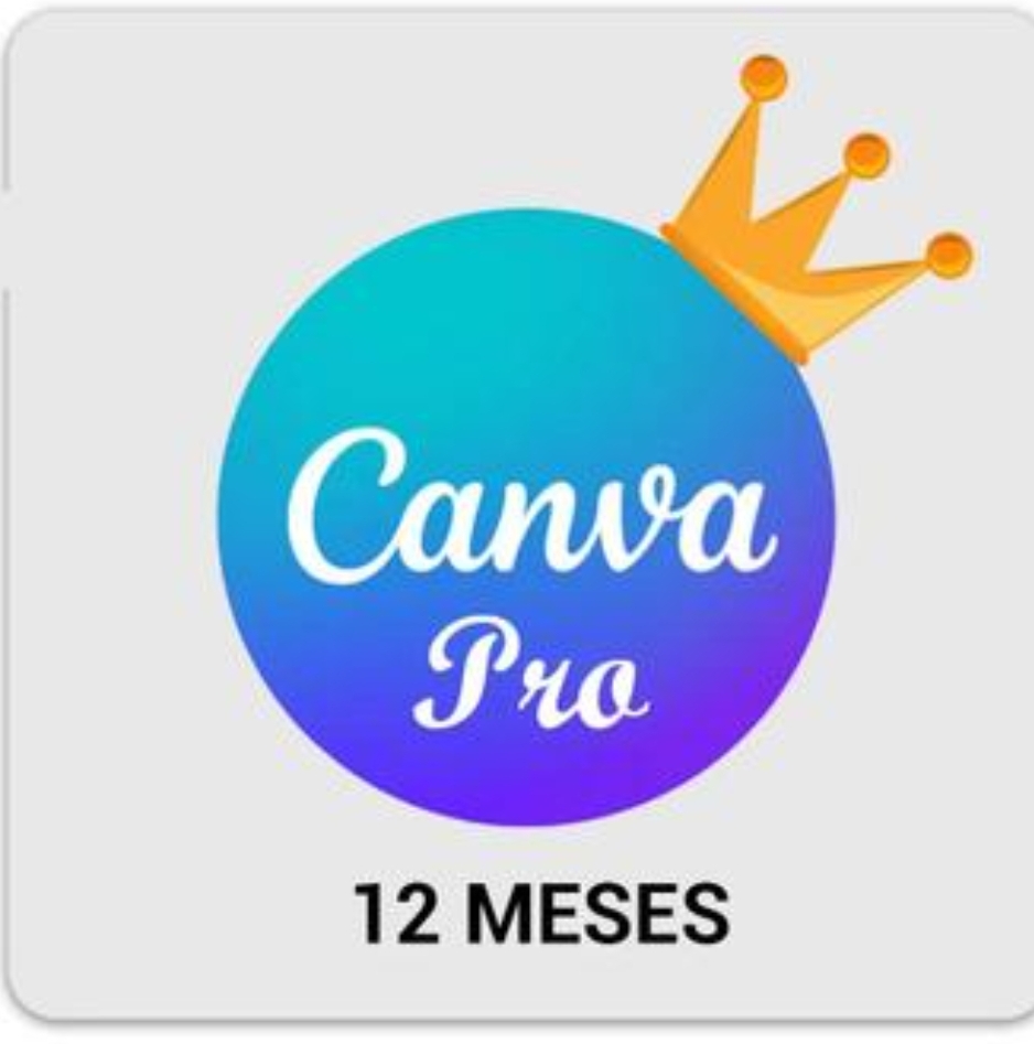 CANVA 12 MESES
